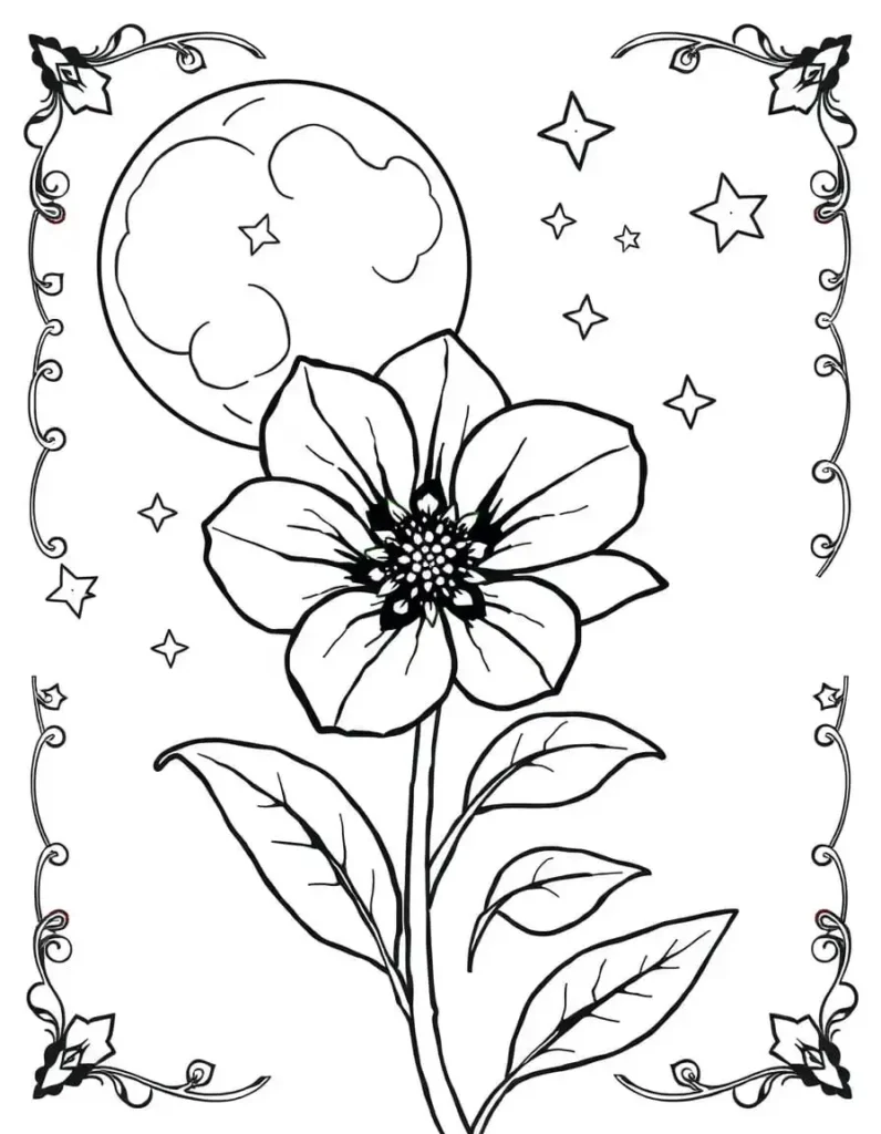 night-blooming flower under a moon