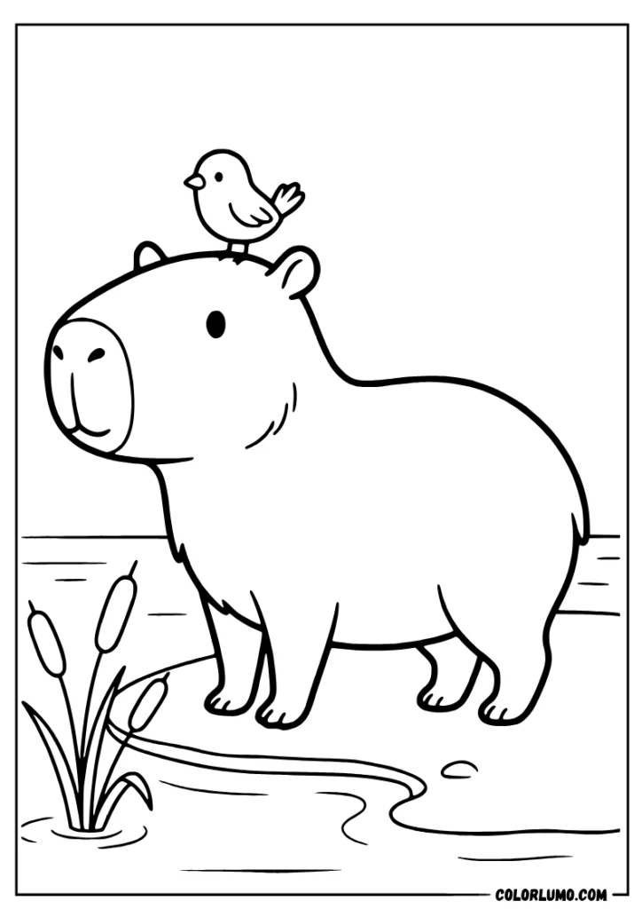 Capybara coloring page featuring a cute capybara sitting beside a peaceful pond with a tiny bird perched on its head